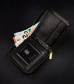 Luxusná pánska peňaženka ALWAYS WILD N50504 čierna 