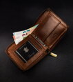 Moderná pánska peňaženka ALWAYS WILD N50504 hnedá
