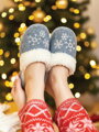 Dámske papuče model 22 vločka filcová
